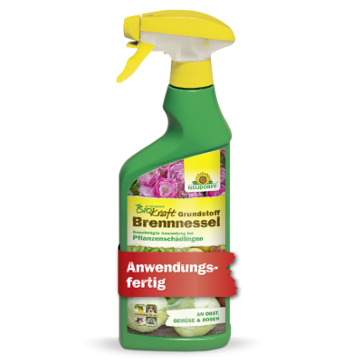 BioKraft Grundstoff Brennessel