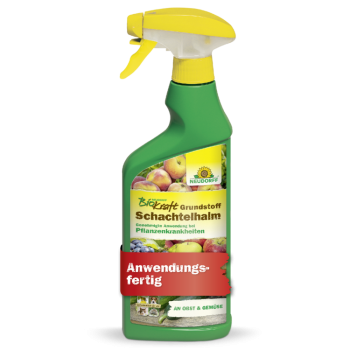 BioKraft Grundstoff Schachtelhalm